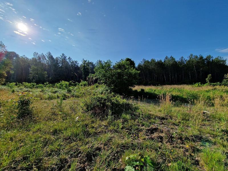 Maison - 195 m² - 6 pièces