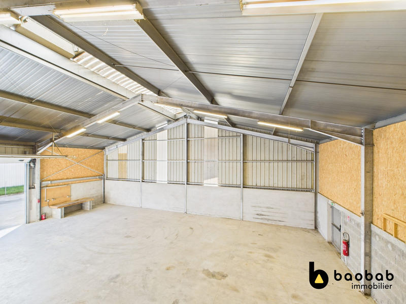 Local d'activités - 345 m² - 4 pièces