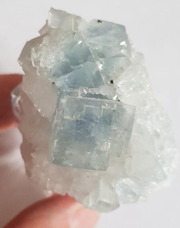 29ème bourse de collection de minéraux et fossiles