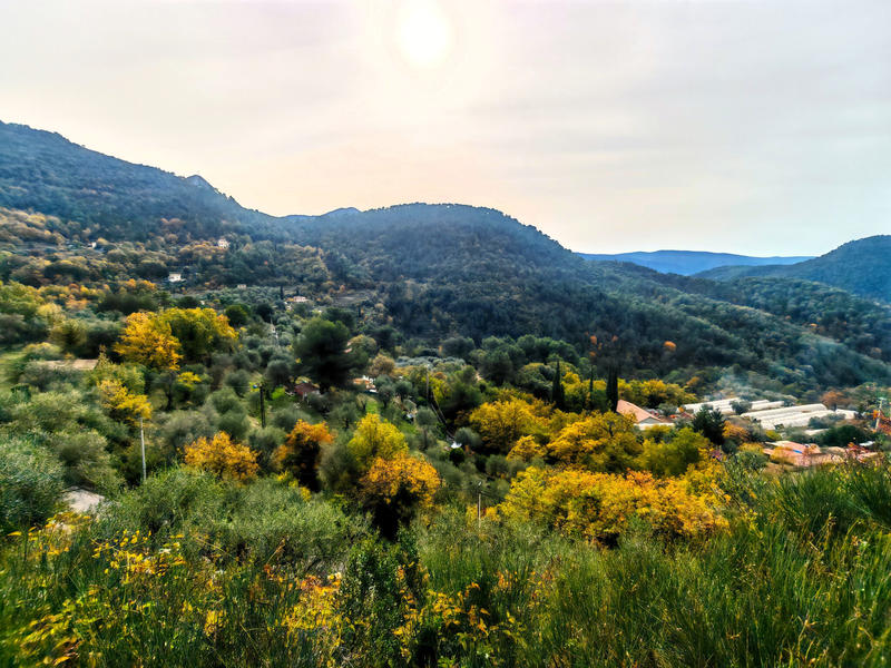 Propriété - 85 m² - 3 pièces