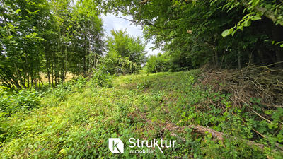 Terrain - 1 831 m²