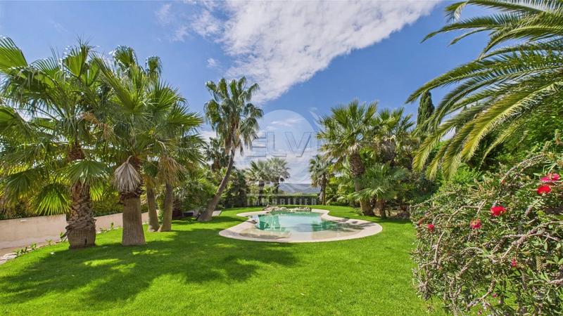 Viager - Maison - 307 m² - 6 pièces