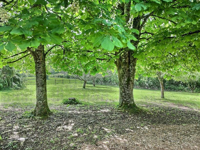 Maison - 175 m² - 8 pièces