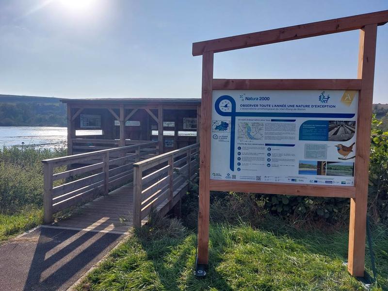 Sortie nature : le Vieil-étang de Bairon