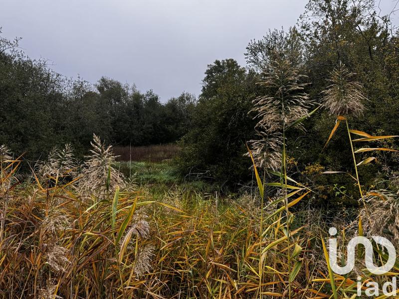 Terrain - 10 836 m²