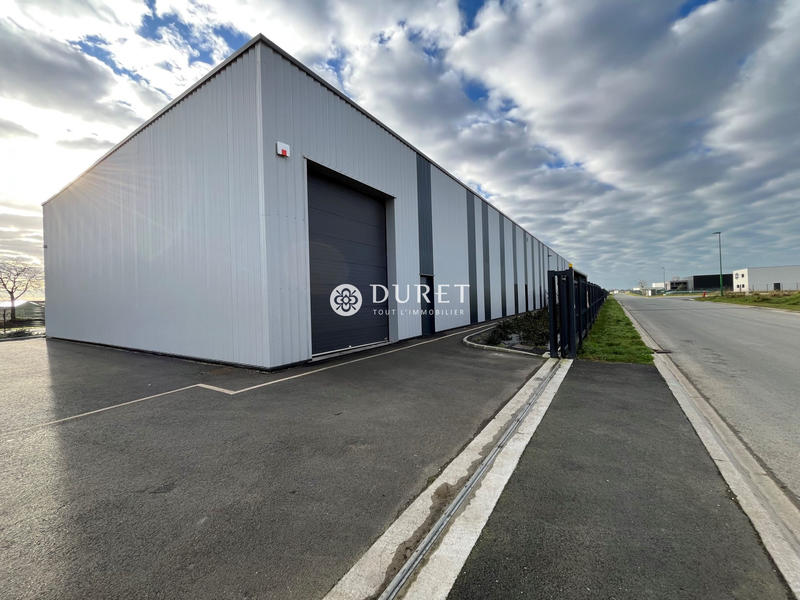 Local d'activités - 568 m²