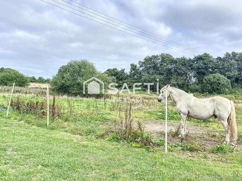 Maison - 278 m² - 9 pièces