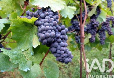 Terrain agricole - 20 000 m²