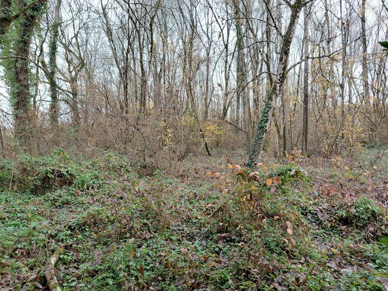 Maison ancienne - 120 m² - 4 pièces