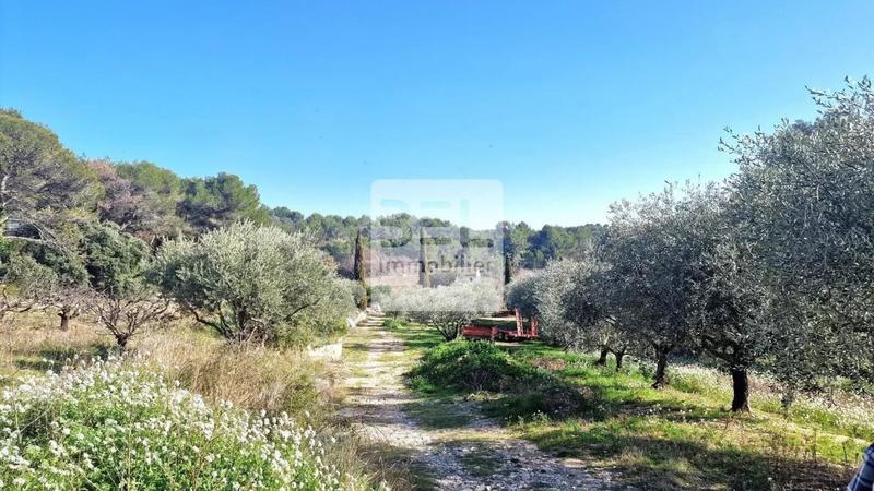 Ferme - 250 m² - 13 pièces