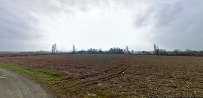 Terrain - 24 992 m²
