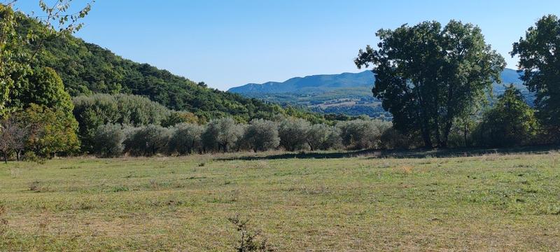 Propriété - 450 m² - 15 pièces