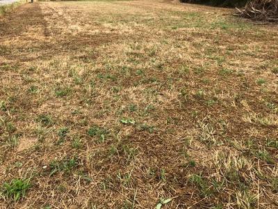 Maison ancienne - 80 m² - 3 pièces