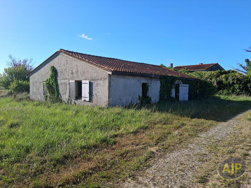 Immeuble - 10 pièces