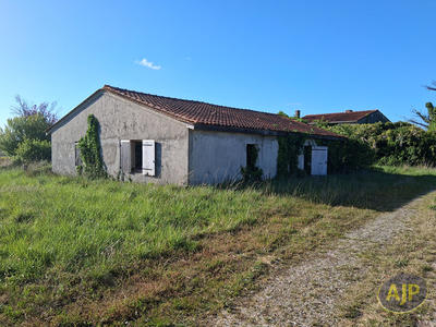 Immeuble - 10 pièces