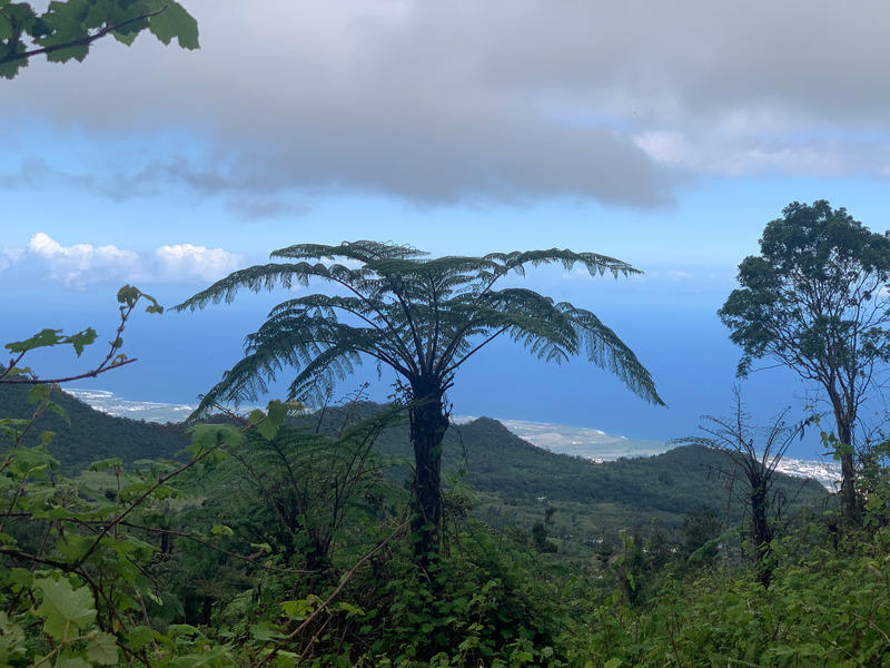 Propriété - 320 m² - 10 pièces