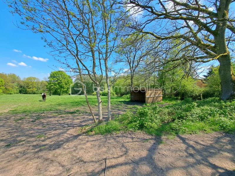 Maison de domaine équestre - 116 m² - 5 pièces