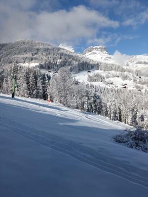 Appartement - 24 m² - 2 pièces