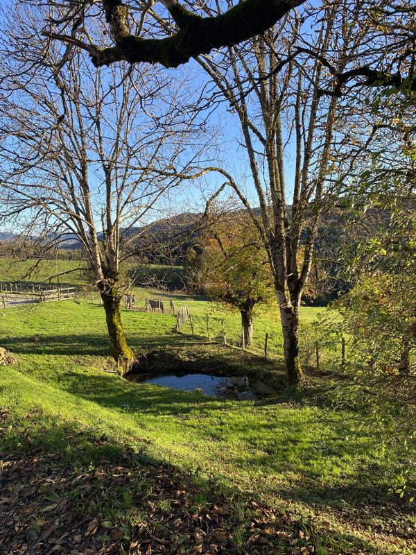 Maison ancienne - 300 m² - 7 pièces