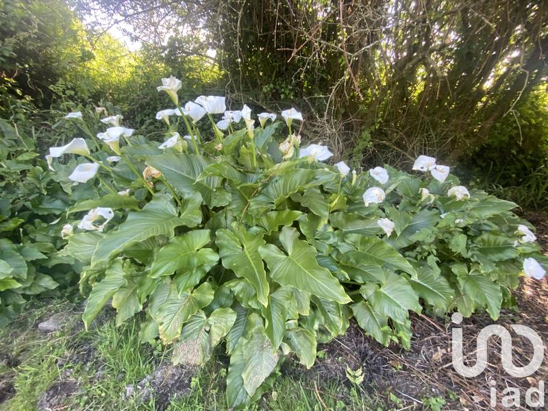 Maison de campagne - 184 m² - 10 pièces