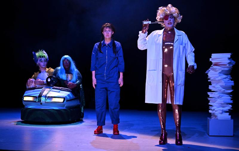 Peau d'âne - la fête est finie