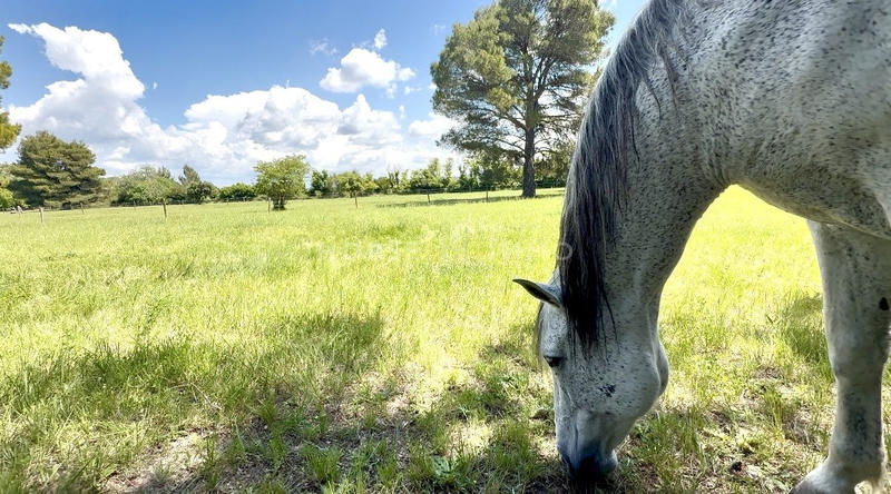 Gîte - 200 m² - 6 pièces