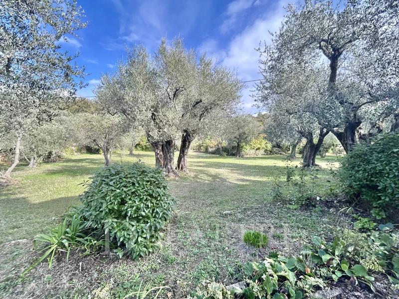 Villa - 235 m² - 10 pièces