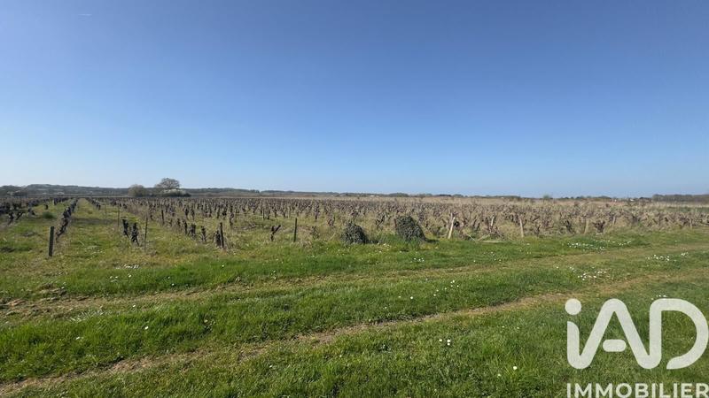 Ferme - 679 m² - 7 pièces