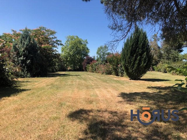 Viager - Maison - 517 m² - 16 pièces