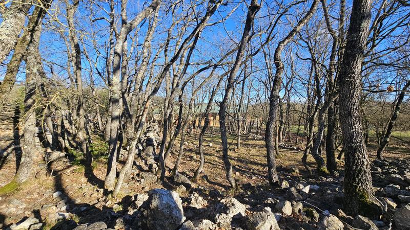 Terrain - 24 790 m²