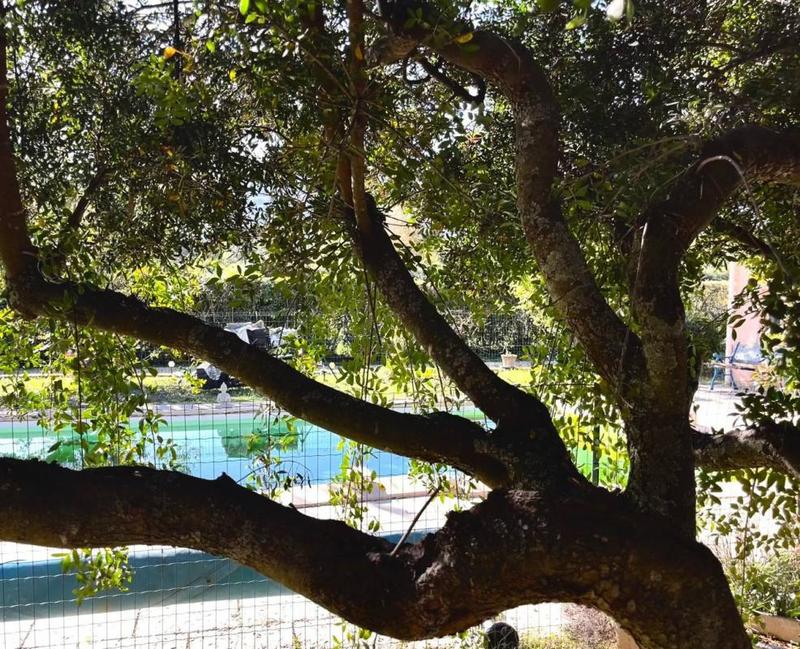 Maison - 138 m² - 6 pièces