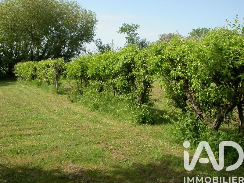 Maison de campagne - 263 m² - 8 pièces