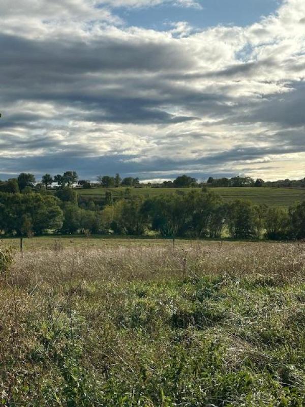 Terrain constructible - 551 m²