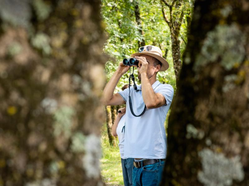 Samedi ornitho à Terres d'Oiseaux