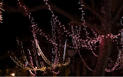 Le sapin féerique :“Un Noël gourmand et multicolore”