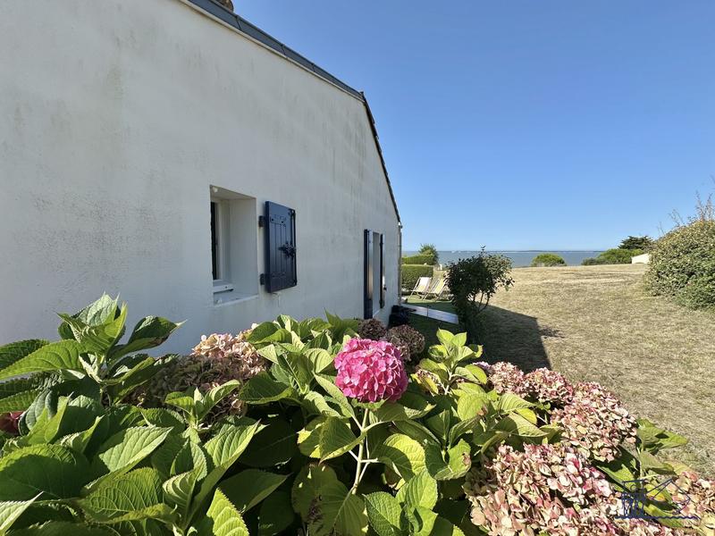 Maison contemporaine - 29 m² - 2 pièces