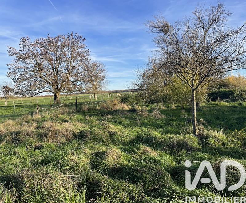 Maison de village - 120 m² - 5 pièces