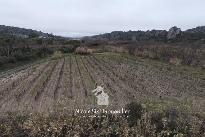 Terrain agricole - 5 600 m²