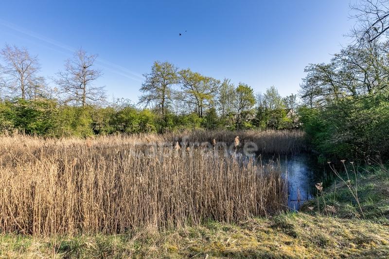 Villa - 320 m² - 9 pièces