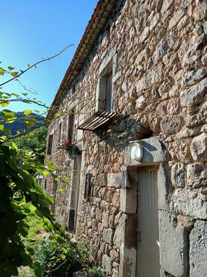 Maison - 250 m² - 6 pièces