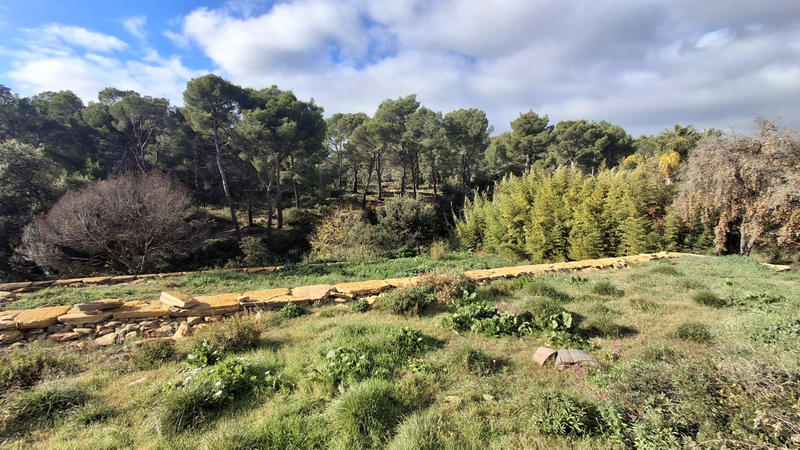 Maison - 175 m² - 6 pièces