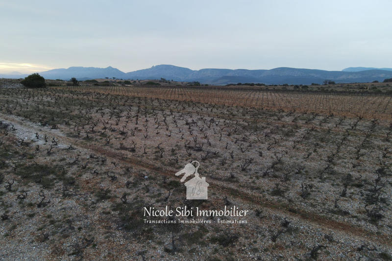 Terrain agricole - 4 820 m²