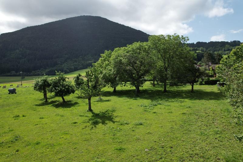 Maison - 260 m² - 10 pièces