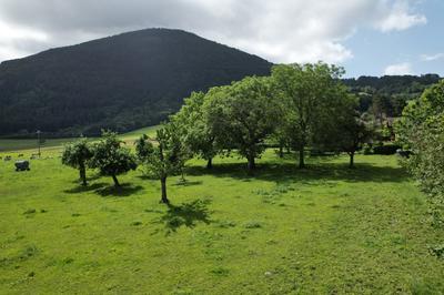 Maison - 260 m² - 10 pièces