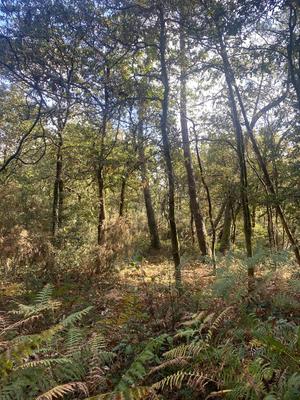 Terrain agricole - 2 890 m²