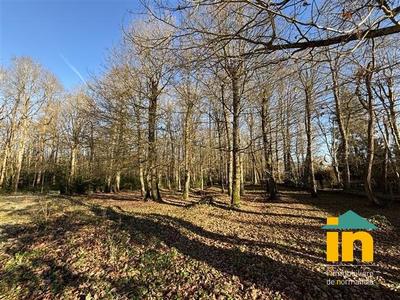 Maison de campagne - 185 m² - 6 pièces