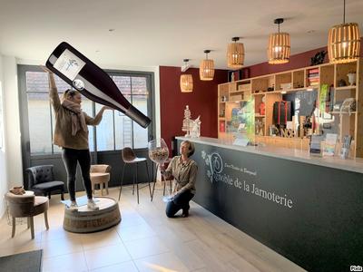 Les Visites Oenotouristiques Surprenantes !