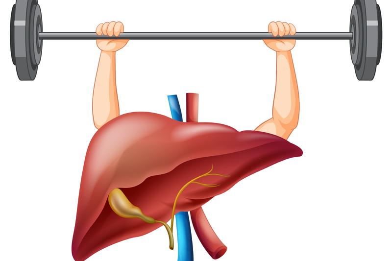 Soutenir le foie - Renaitre au printemps