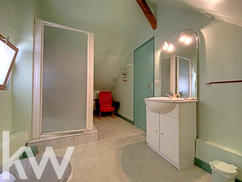 Viager - Maison - 233 m² - 10 pièces