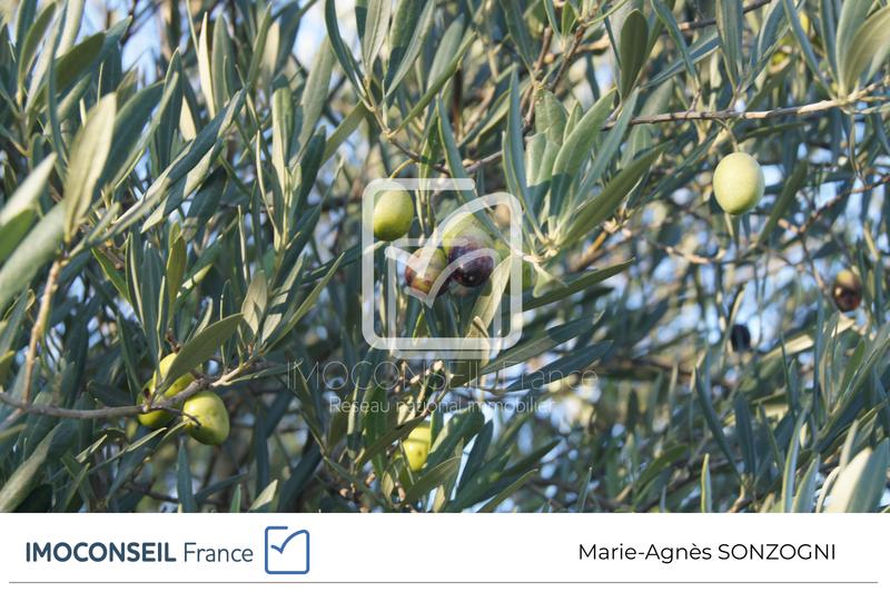 Terrain agricole - 5 359 m²